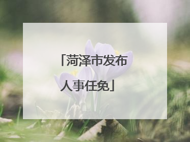 菏泽市发布人事任免