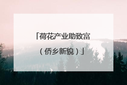 荷花产业助致富（侨乡新貌）