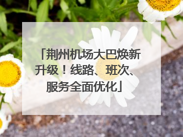 荆州机场大巴焕新升级！线路、班次、服务全面优化