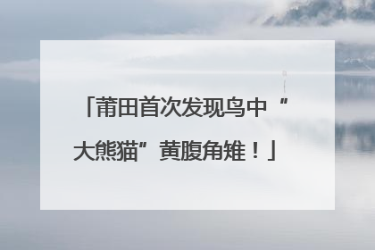 莆田首次发现鸟中“大熊猫”黄腹角雉！
