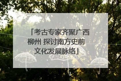 考古专家齐聚广西柳州 探讨南方史前文化发展脉络
