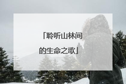 聆听山林间的生命之歌