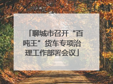 聊城市召开“百吨王”货车专项治理工作部署会议