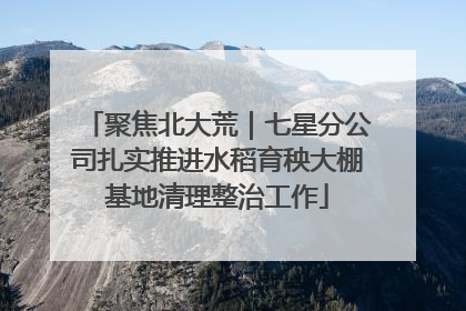 聚焦北大荒｜七星分公司扎实推进水稻育秧大棚基地清理整治工作