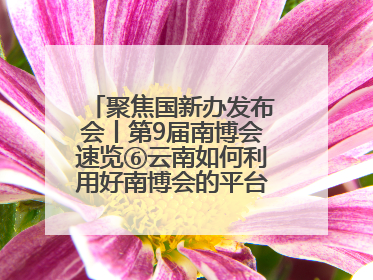 聚焦国新办发布会丨第9届南博会速览⑥云南如何利用好南博会的平台带动作用，深化与南亚国家的交流与合作？