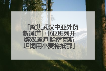 聚焦武汉中亚外贸新通道│中亚班列开辟双通道 哈萨克斯坦饲用小麦将抵鄂