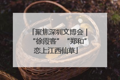 聚焦深圳文博会｜“徐霞客”“郑和”恋上江西仙草