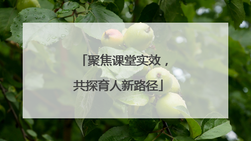 聚焦课堂实效，共探育人新路径
