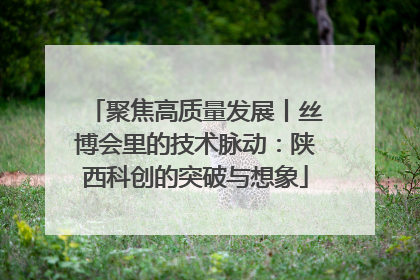 聚焦高质量发展丨丝博会里的技术脉动：陕西科创的突破与想象