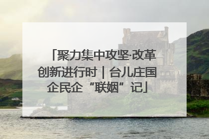 聚力集中攻坚·改革创新进行时｜台儿庄国企民企“联姻”记