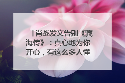 肖战发文告别《藏海传》：真心地为你开心，有这么多人懂你，导演回应“是否有第二季”
