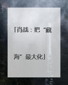 肖战：把“藏海”最大化