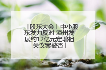 股东大会上中小股东发力反对 漳州发展约12亿元定增相关议案被否