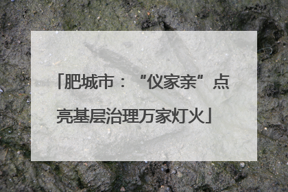 肥城市：“仪家亲”点亮基层治理万家灯火