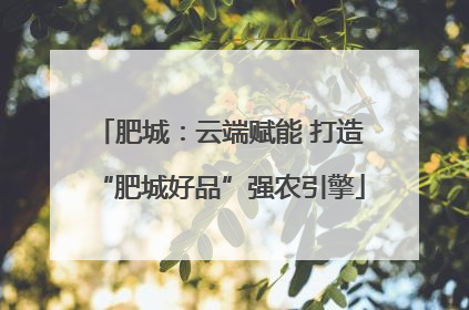 肥城：云端赋能 打造“肥城好品”强农引擎