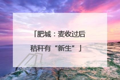 肥城：麦收过后秸秆有“新生”