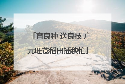 育良种 送良技 广元旺苍稻田插秧忙