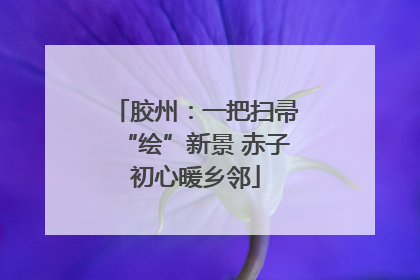 胶州：一把扫帚“绘”新景 赤子初心暖乡邻