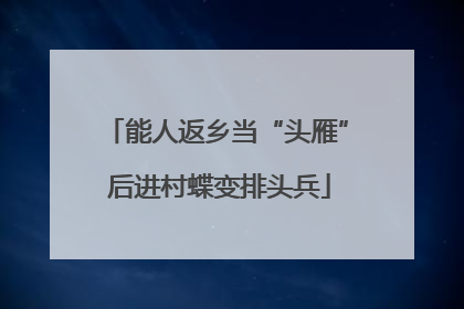 能人返乡当“头雁” 后进村蝶变排头兵