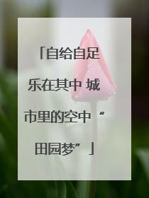 自给自足 乐在其中 城市里的空中“田园梦”