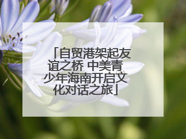 自贸港架起友谊之桥 中美青少年海南开启文化对话之旅