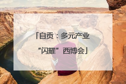 自贡：多元产业“闪耀”西博会