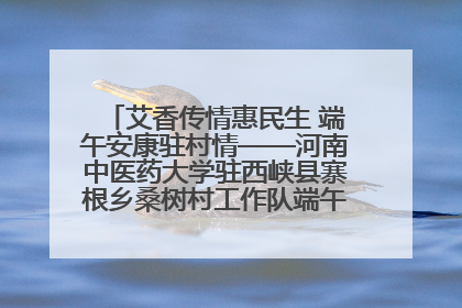 艾香传情惠民生 端午安康驻村情——河南中医药大学驻西峡县寨根乡桑树村工作队端午中医惠民记
