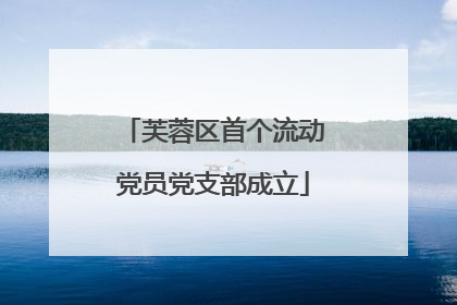 芙蓉区首个流动党员党支部成立