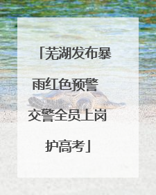 芜湖发布暴雨红色预警 交警全员上岗护高考
