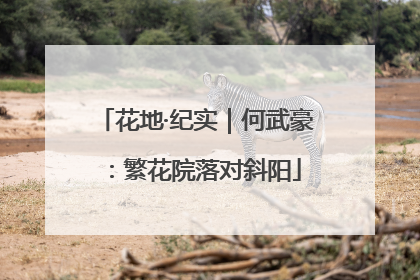 花地·纪实｜何武豪：繁花院落对斜阳