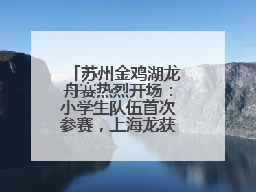 苏州金鸡湖龙舟赛热烈开场：小学生队伍首次参赛，上海龙获国际组冠亚军