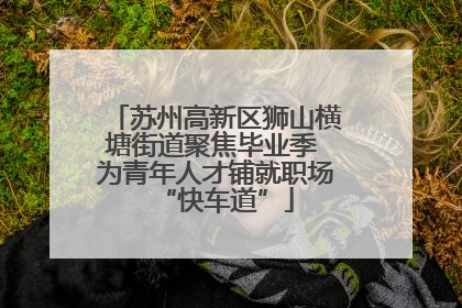 苏州高新区狮山横塘街道聚焦毕业季 为青年人才铺就职场“快车道”
