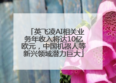 英飞凌AI相关业务年收入将达10亿欧元，中国机器人等新兴领域潜力巨大