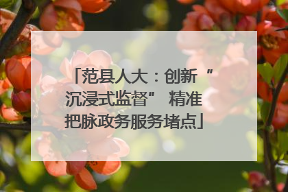 范县人大：创新“沉浸式监督” 精准把脉政务服务堵点