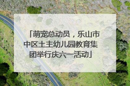 萌宠总动员，乐山市中区土主幼儿园教育集团举行庆六一活动