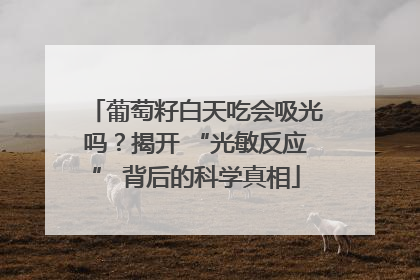 葡萄籽白天吃会吸光吗？揭开 “光敏反应” 背后的科学真相
