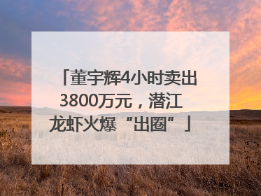 董宇辉4小时卖出3800万元，潜江龙虾火爆“出圈”
