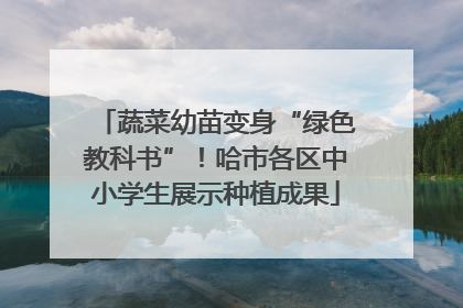 蔬菜幼苗变身“绿色教科书”！哈市各区中小学生展示种植成果