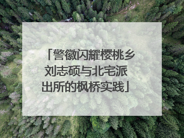 警徽闪耀樱桃乡 刘志硕与北宅派出所的枫桥实践