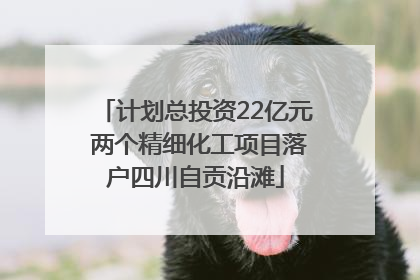 计划总投资22亿元 两个精细化工项目落户四川自贡沿滩