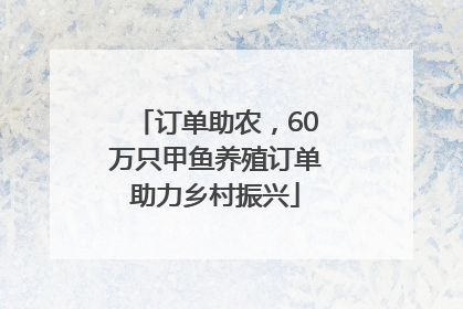 订单助农，60万只甲鱼养殖订单助力乡村振兴
