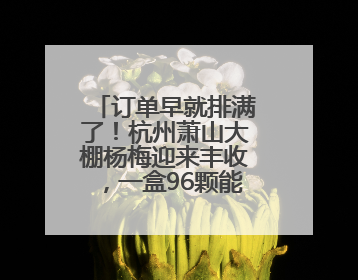 订单早就排满了！杭州萧山大棚杨梅迎来丰收，一盒96颗能卖到400元