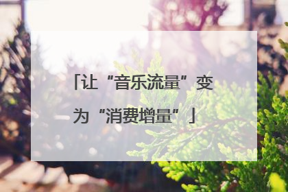 让“音乐流量”变为“消费增量”