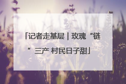 记者走基层｜玫瑰“链”三产 村民日子甜