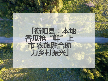 衡阳县：本地香瓜抢“鲜”上市 农旅融合助力乡村振兴