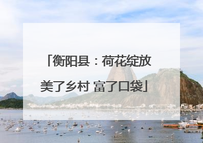 衡阳县：荷花绽放 美了乡村 富了口袋