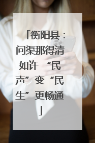 衡阳县：问渠那得清如许 “民声”变“民生”更畅通