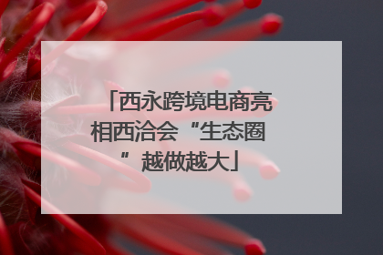 西永跨境电商亮相西洽会“生态圈”越做越大