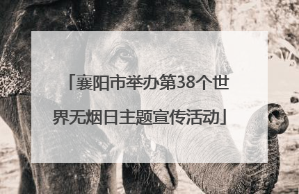 襄阳市举办第38个世界无烟日主题宣传活动