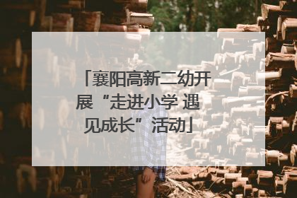 襄阳高新二幼开展“走进小学 遇见成长”活动